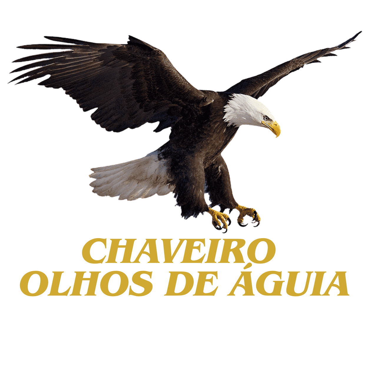 Chaveiro Olhos de Águia Logo
